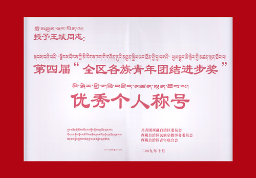 全區(qū)各族青年團(tuán)結(jié)進(jìn)步獎(jiǎng)