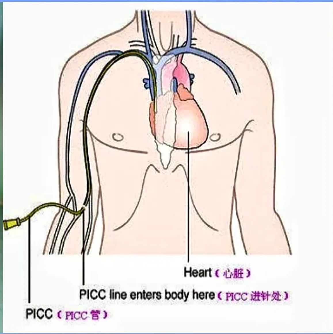 微信圖片_20250425145417 微信圖片_20250425145417